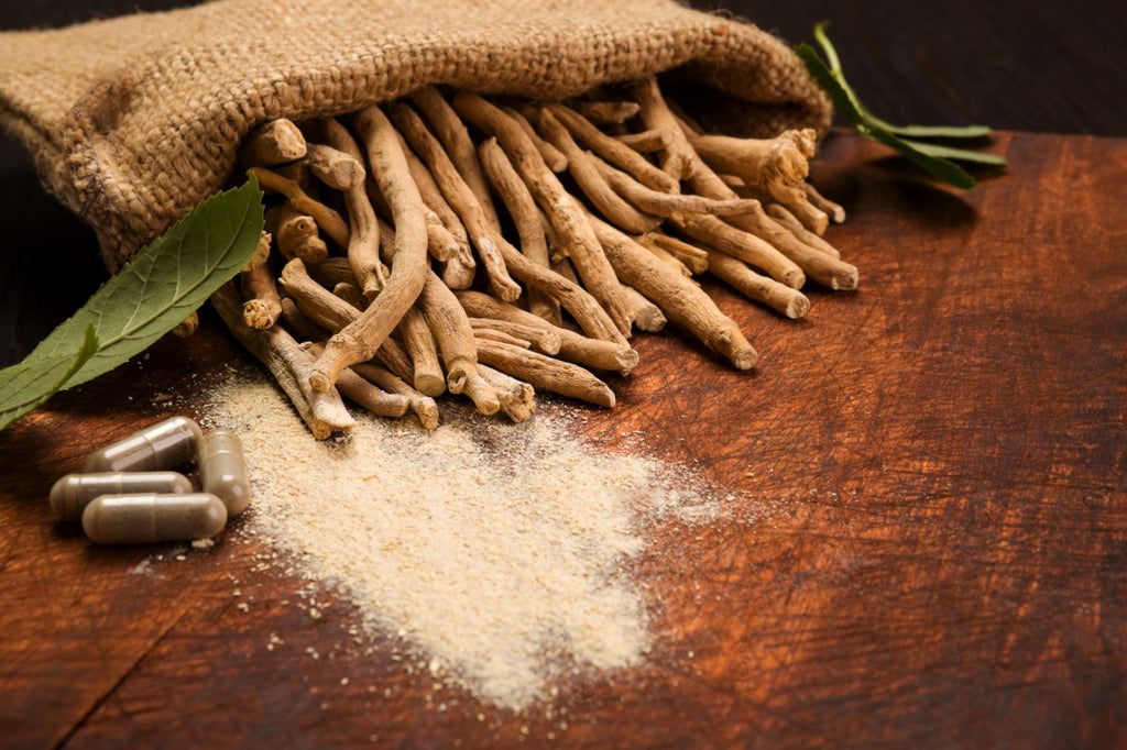 Ashwagandha The Powerful Health Benefits and Beauty Benefits You Need to Know