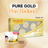 Gold Spa Facial - 210gm