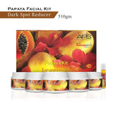 Aaryanveda Papaya Professional Kit with Nano Tech- 510 gm